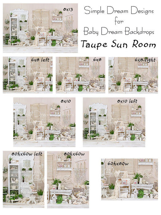 Taupe Sun Room right