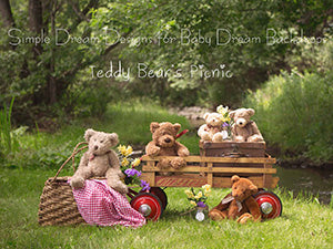 Teddy Bear Picnic 60Hx80W SD  