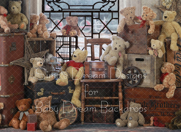 Teddy Bear Express