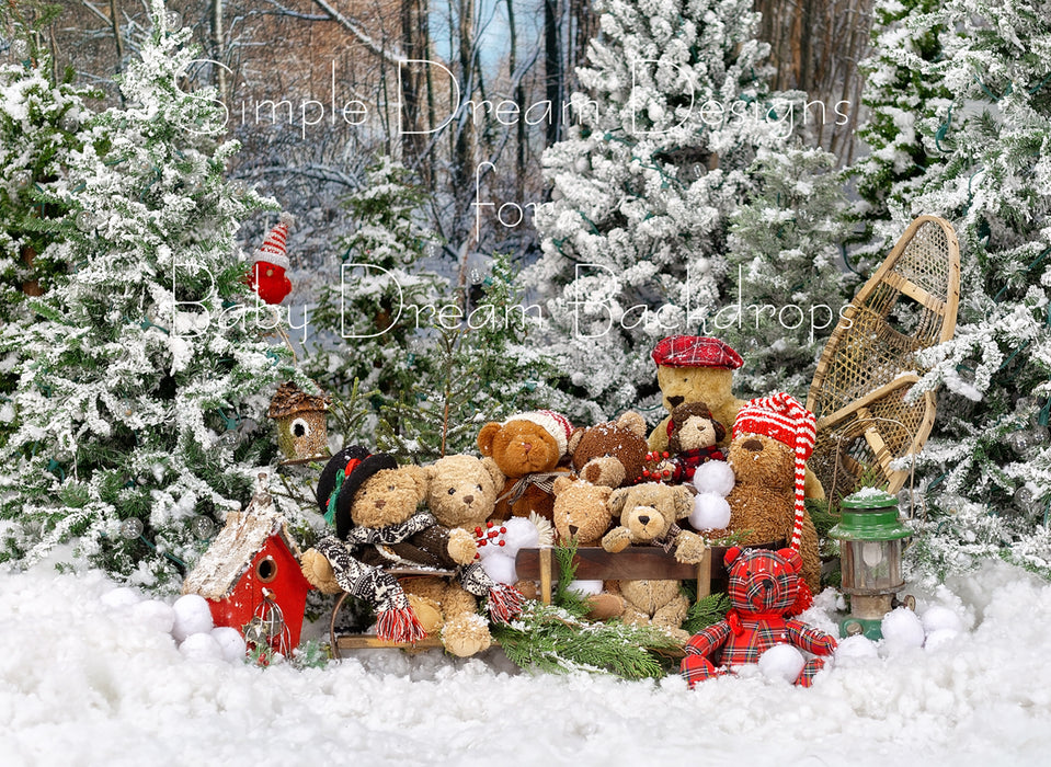 Teddy Sleigh No Lights