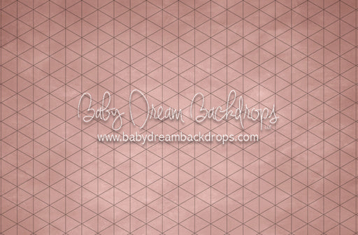 Texture Town Orlando (SS)