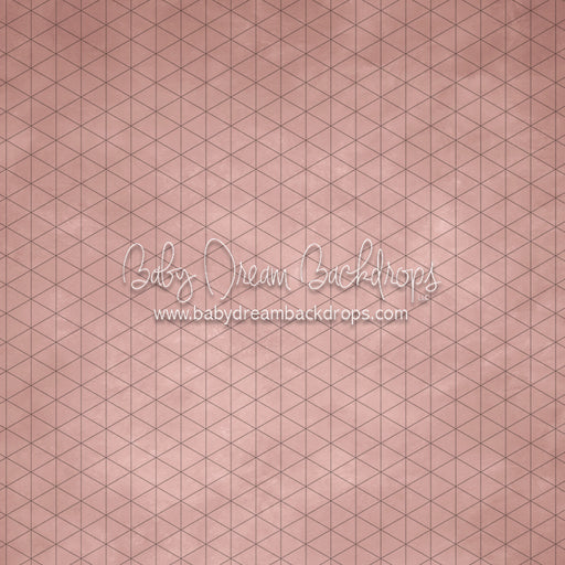 Texture Town Orlando (SS)