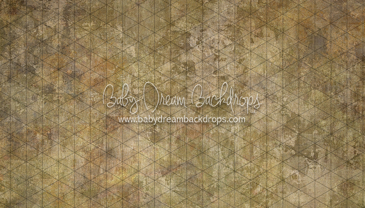 Texture Town Wichita (SS)