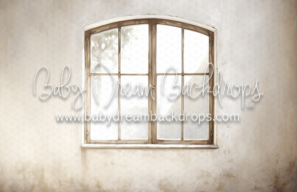 X Drop Textured Arch Window 1 (MD)