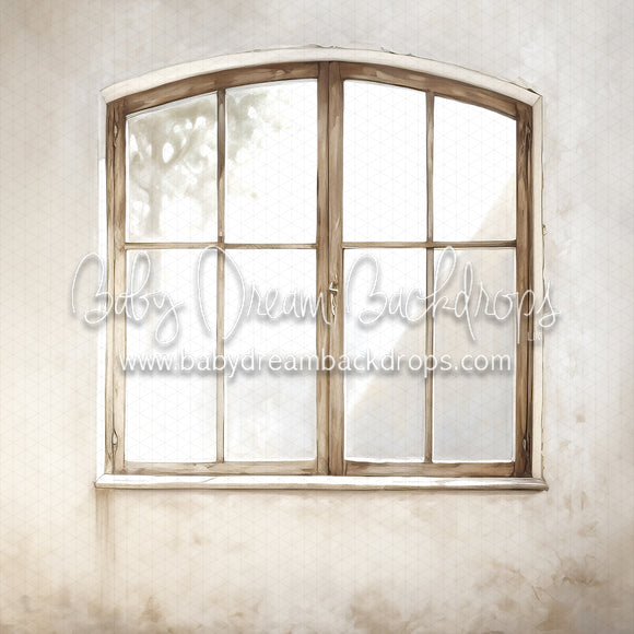 Textured Arch Window 1 (MD)