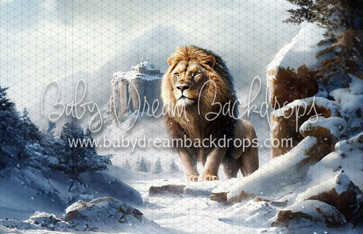 The Gentle King 2 (MD)