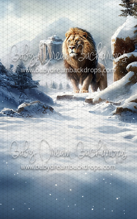 The Gentle King 2 Sweep (MD)