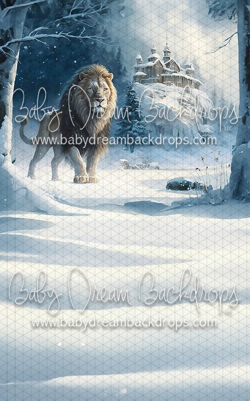 The Gentle King 3 Sweep (MD)