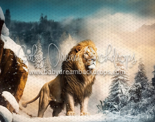 The Gentle King (MD)