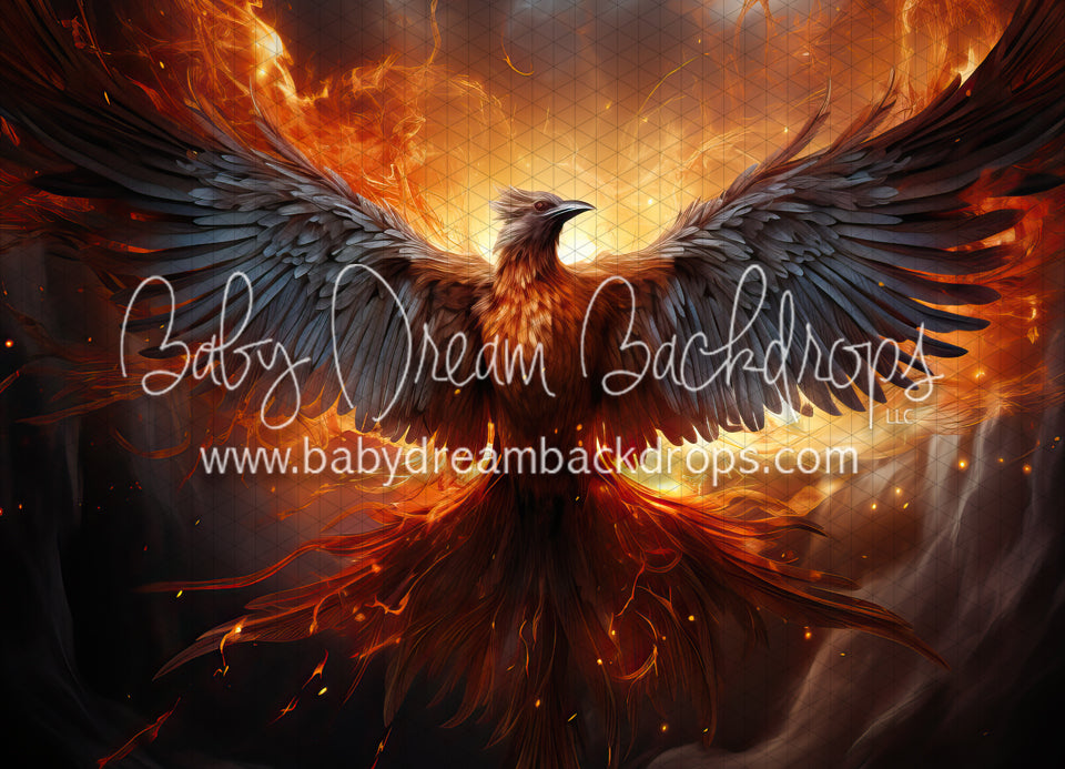 The Phoenix (MD) — Baby Dream Backdrops