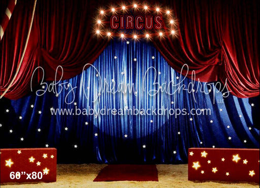 The Circus Show