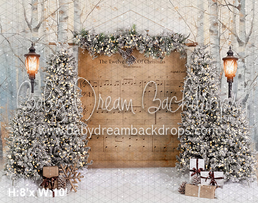 The Twelve Days of Christmas Scroll (VR)