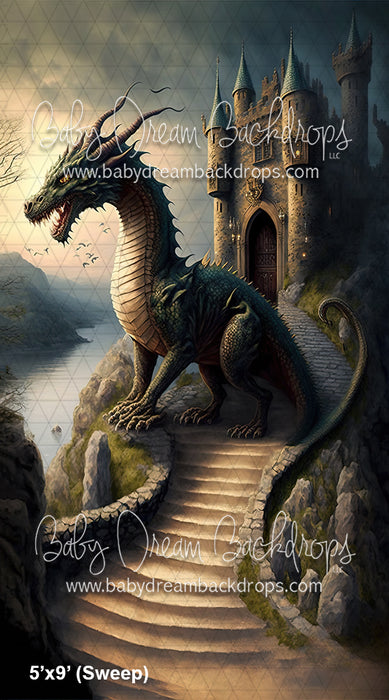 The Dragon's Castle Sweep (MD)