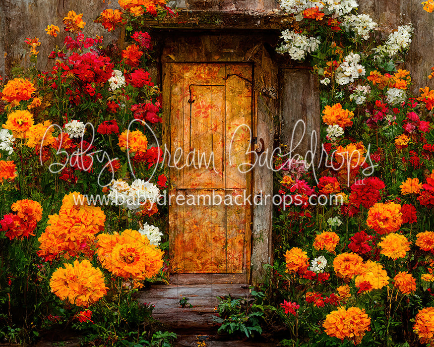 Through the Autumn Dream (BD)