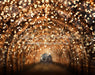Tinsel Town Tunnel (JA)