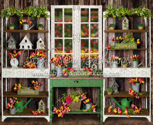 Tip Toe Tulip Shed (JA)