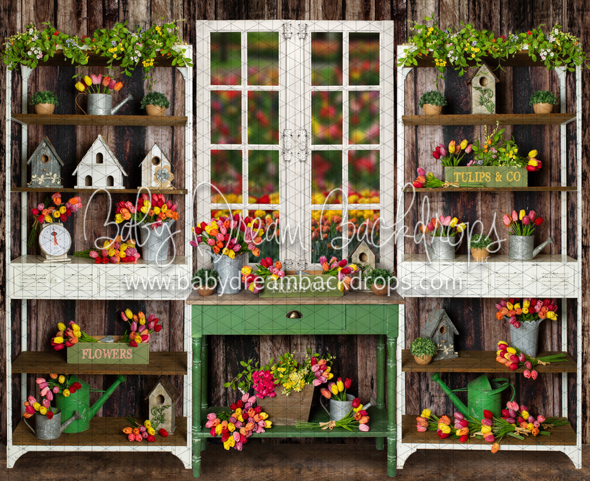 Tip Toe Tulip Shed (JA)