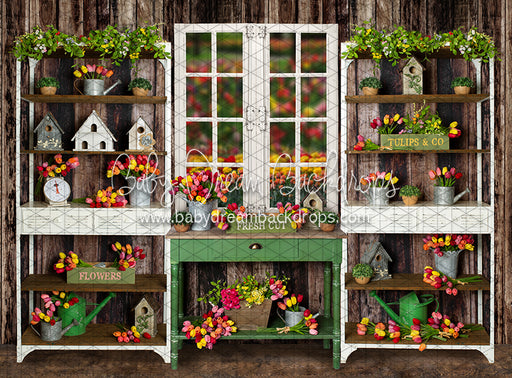 Tip Toe Tulip Shed (JA)