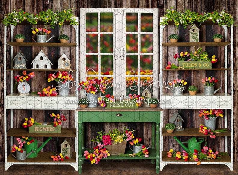 Tip Toe Tulip Shed (JA)