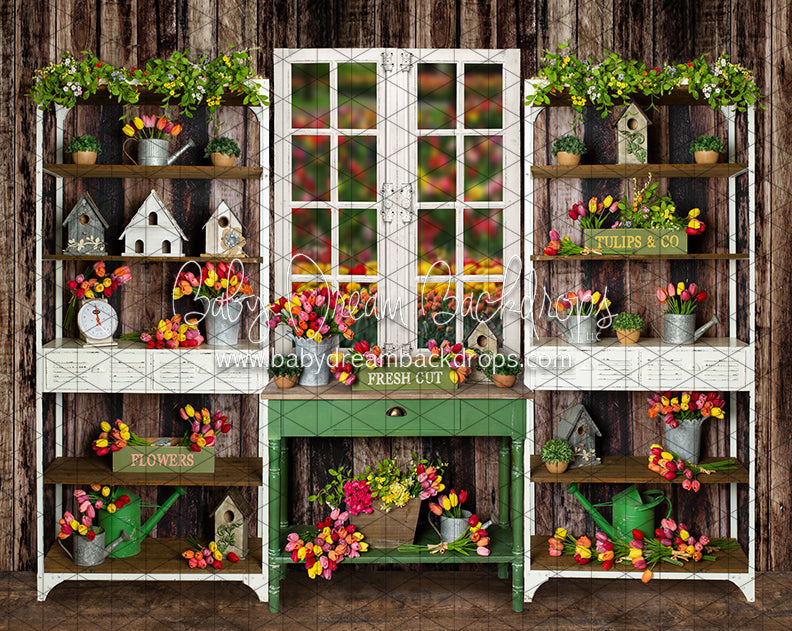 Tip Toe Tulip Shed (JA)