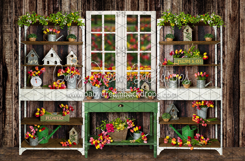 Tip Toe Tulip Shed (JA)