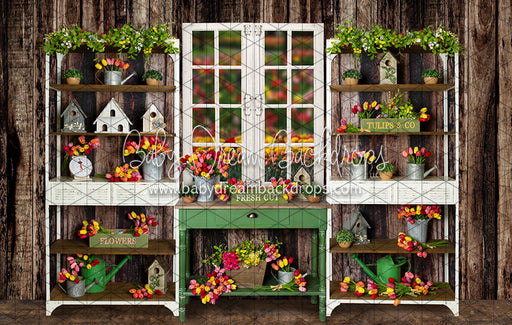 Tip Toe Tulip Shed (JA)