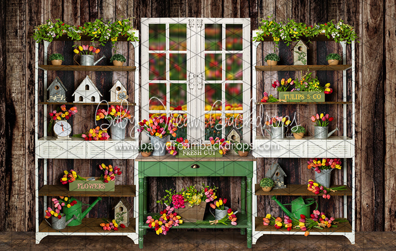 Tip Toe Tulip Shed (JA)