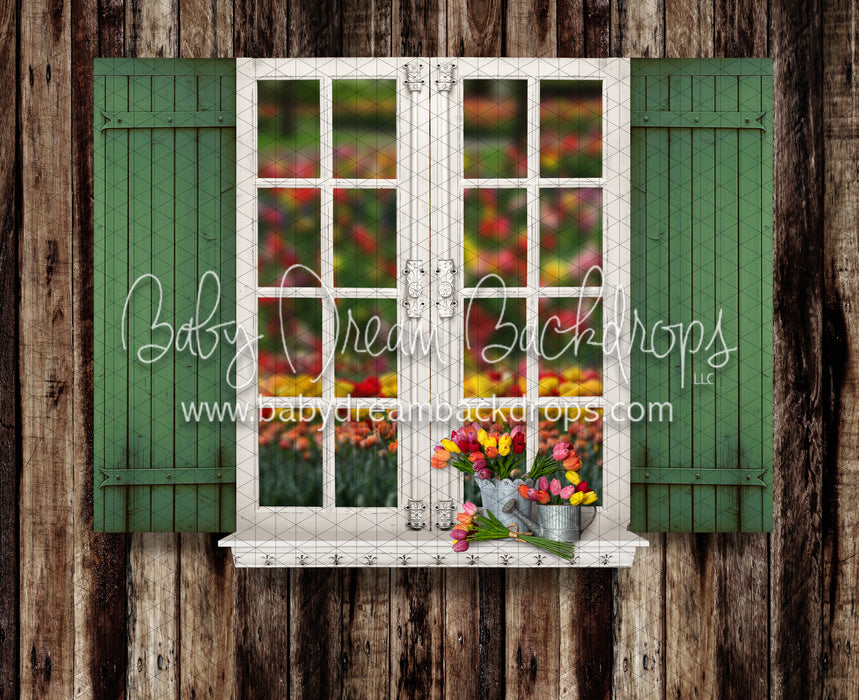 Tip Toe Tulip Shed Widnow (JA)