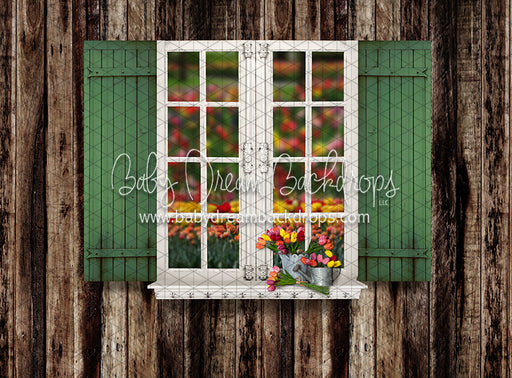 Tip Toe Tulip Shed Widnow (JA)
