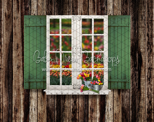 Tip Toe Tulip Shed Widnow (JA)