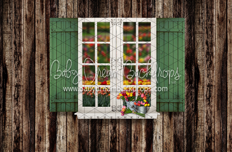 Tip Toe Tulip Shed Widnow (JA)