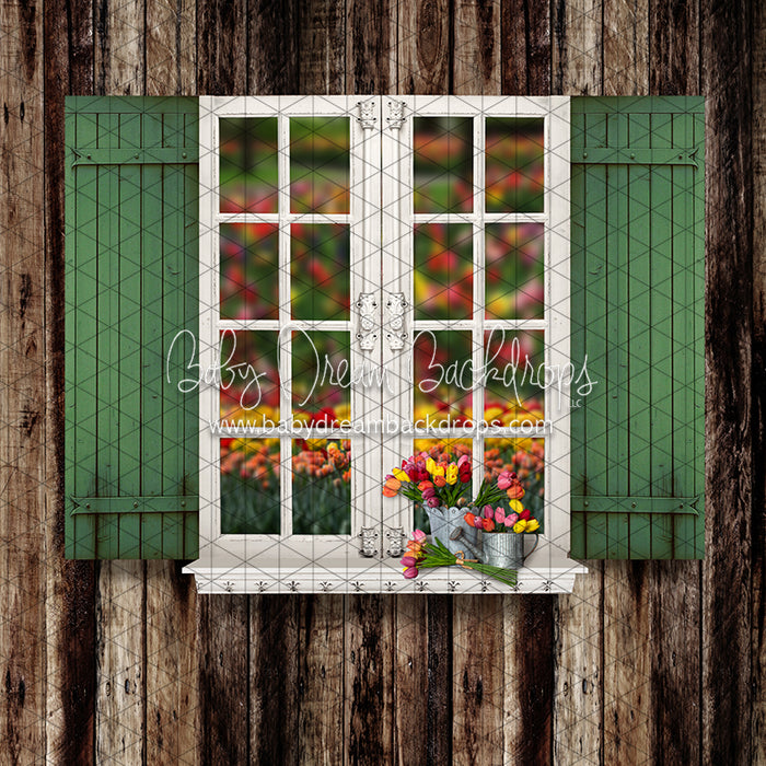 Tip Toe Tulip Shed Widnow (JA)