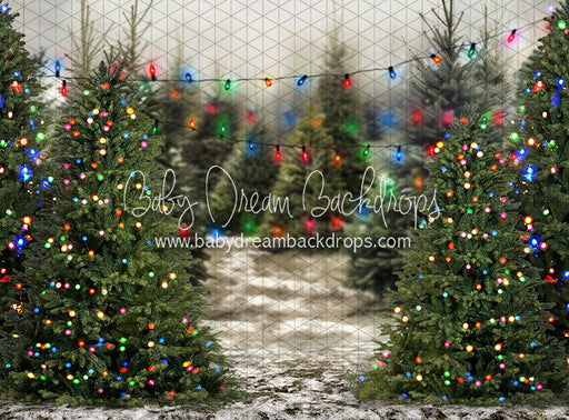 Tis the Tree Season Color Lights (JA)