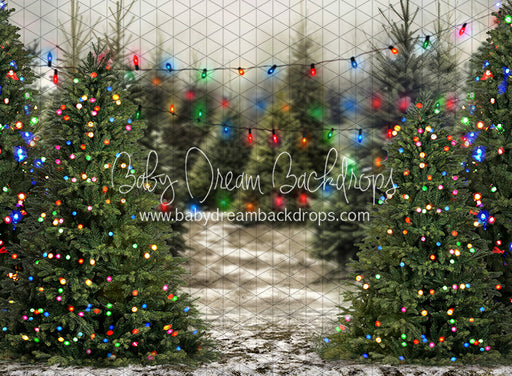 Tis the Tree Season Color Lights (JA)