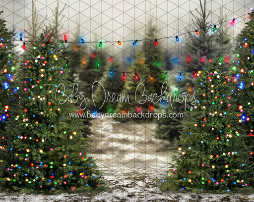 Tis the Tree Season Color Lights (JA)