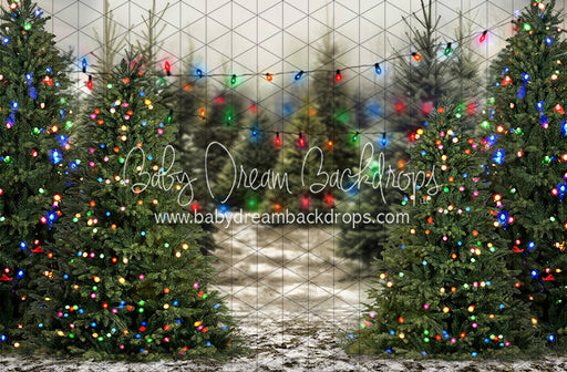 Tis the Tree Season Color Lights (JA)