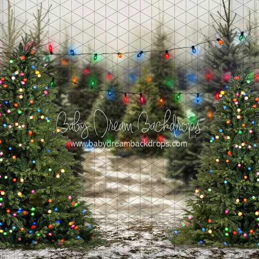 Tis the Tree Season Color Lights (JA)