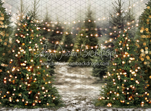 Tis the Tree Season Lights (JA)