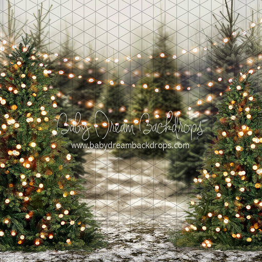 Tis the Tree Season Lights (JA)