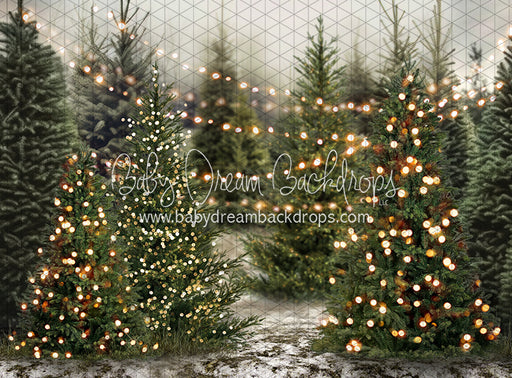 Tis the Tree Season Lights Side (JA)