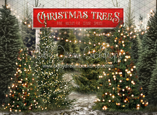 Tis the Tree Season Lights and Sign (JA)