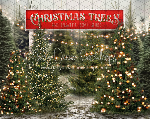 Tis the Tree Season Lights and Sign (JA)