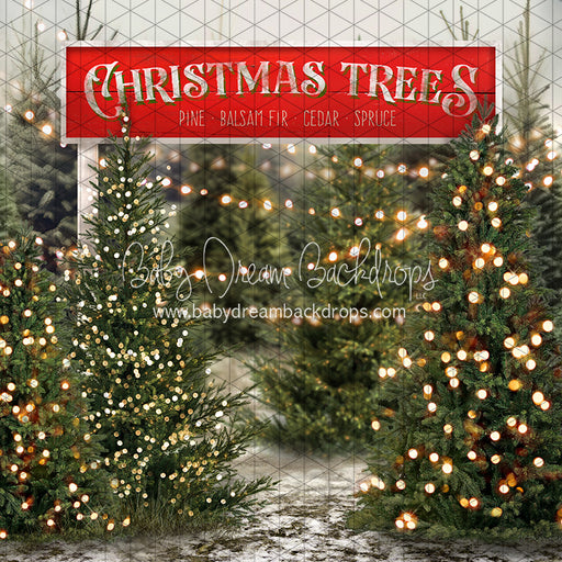 Tis the Tree Season Lights and Sign (JA)