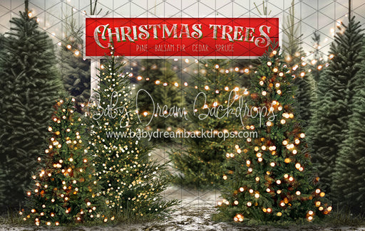 Tis the Tree Season Lights and Sign (JA)