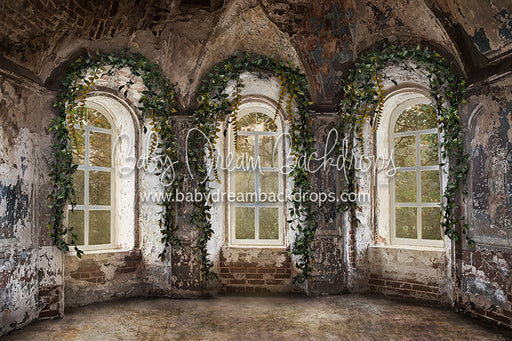 Premium Tower Views - 8x12 - CC