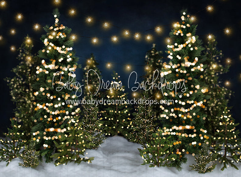 Tree Farm Eve Lights