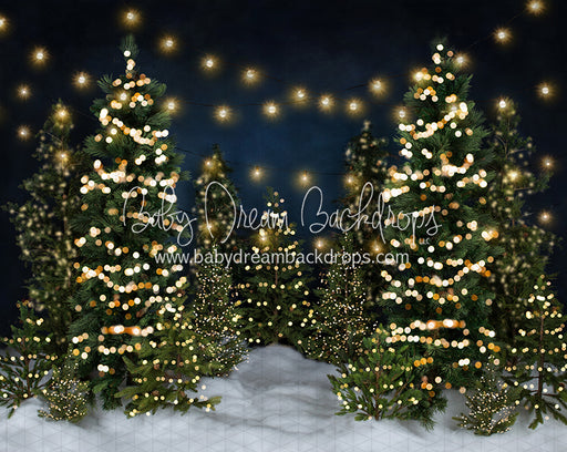 Tree Farm Eve Lights