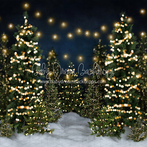 Tree Farm Eve Lights