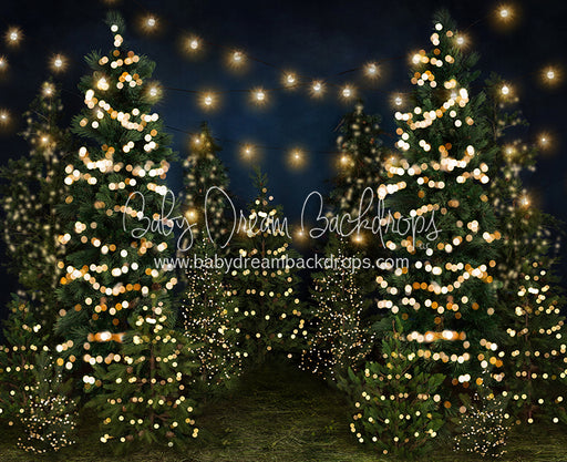 Tree Farm Eve Lights (Grass) 