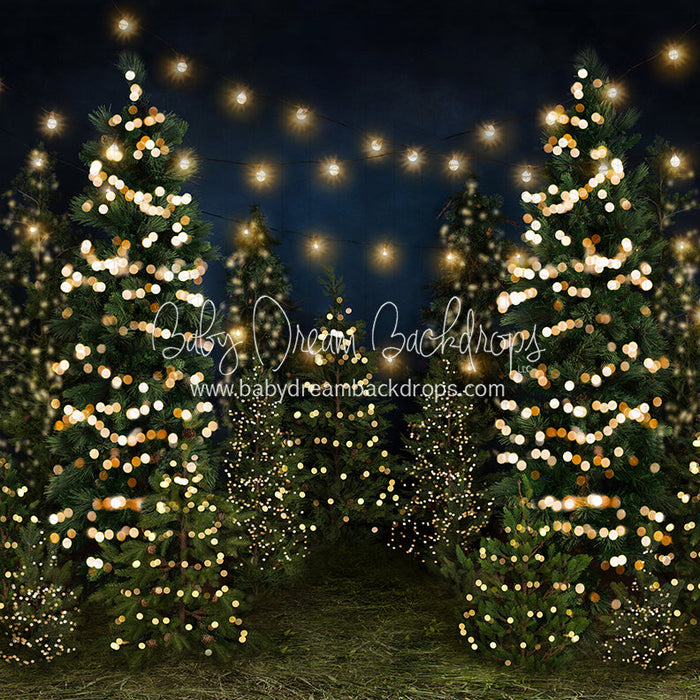 X Drop tree farm eve lights grass